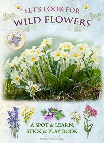 Let's Look for Wild Flowers - A Spot & Learn, Stick & Play Book